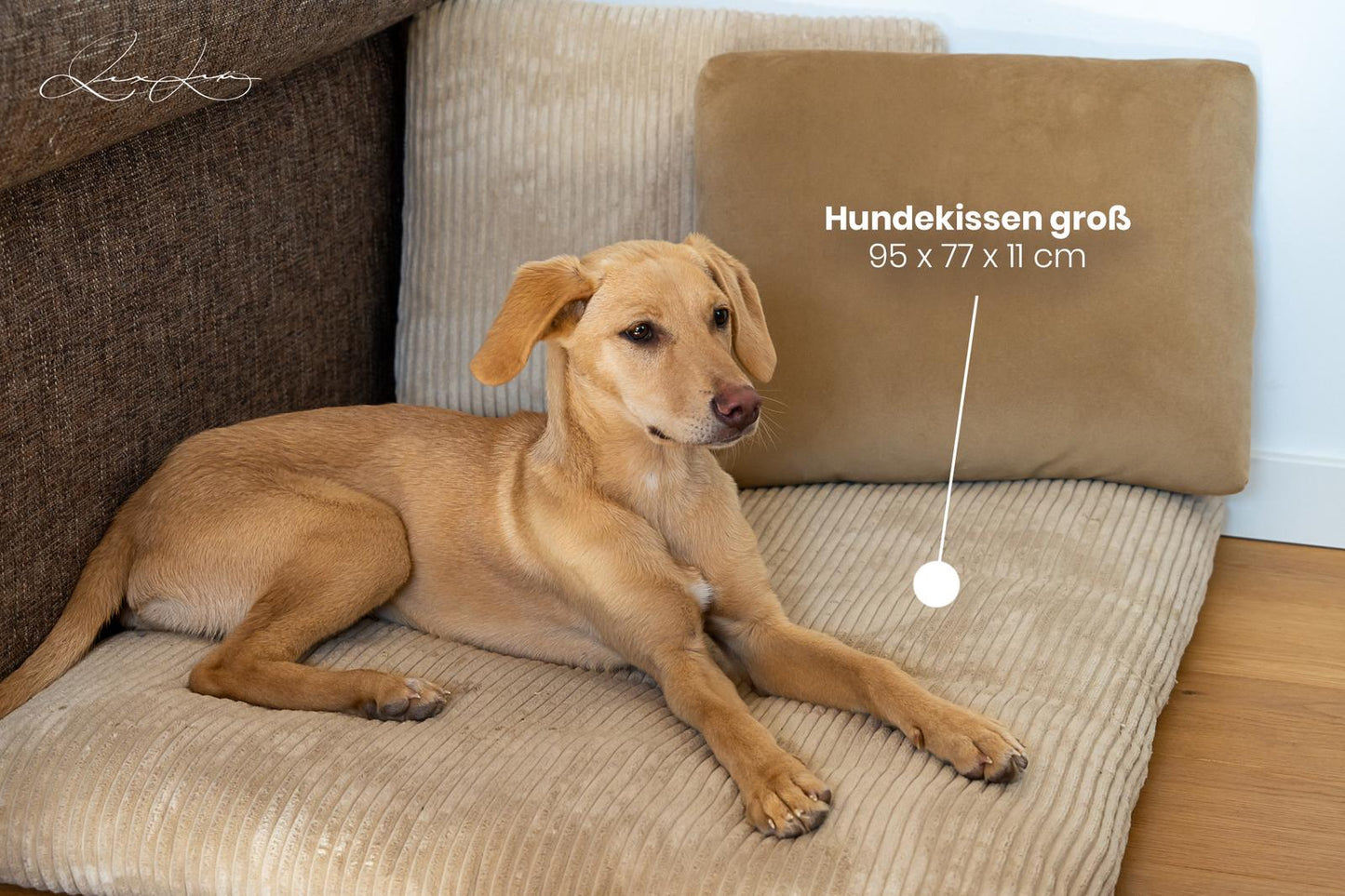 Premium Hundekissen